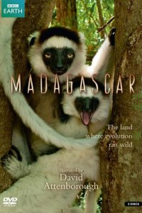 BBC: Мадагаскар